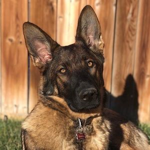 Meet your Posher, Melanie